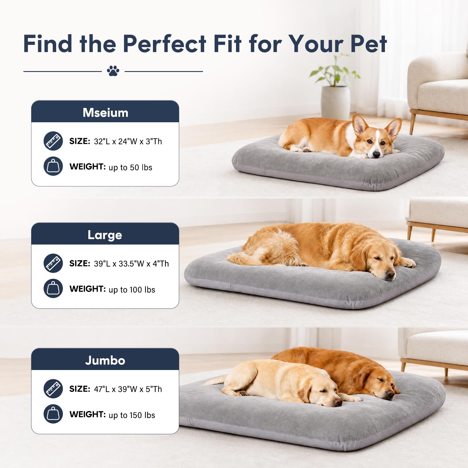 magic dog coin du matelas montrant rembourrage et support