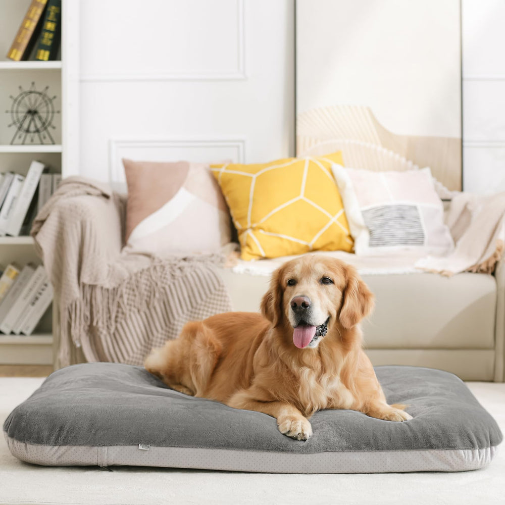 magic dog lit installé dans un salon pour confort quotidien