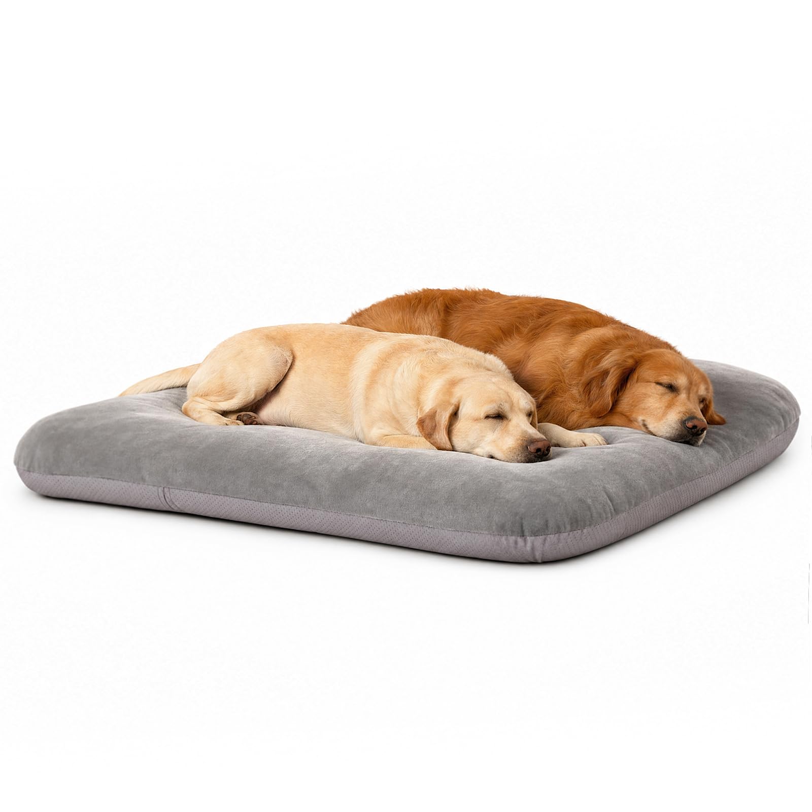 magic dog vue avant du lit XL montrant espace et confort