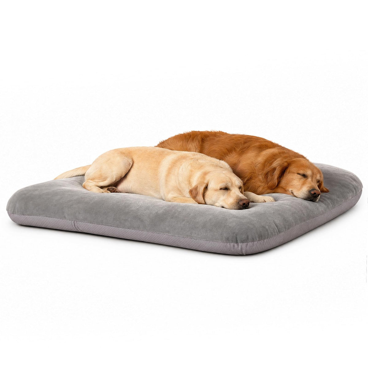 magic dog vue avant du lit XL montrant espace et confort