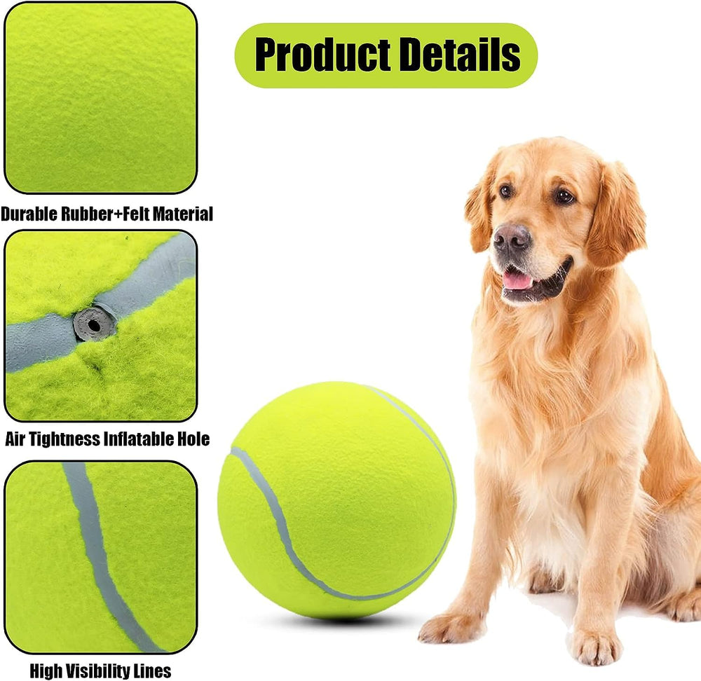 Magicorange chien courant au parc avec la balle, favorise activité et jeu