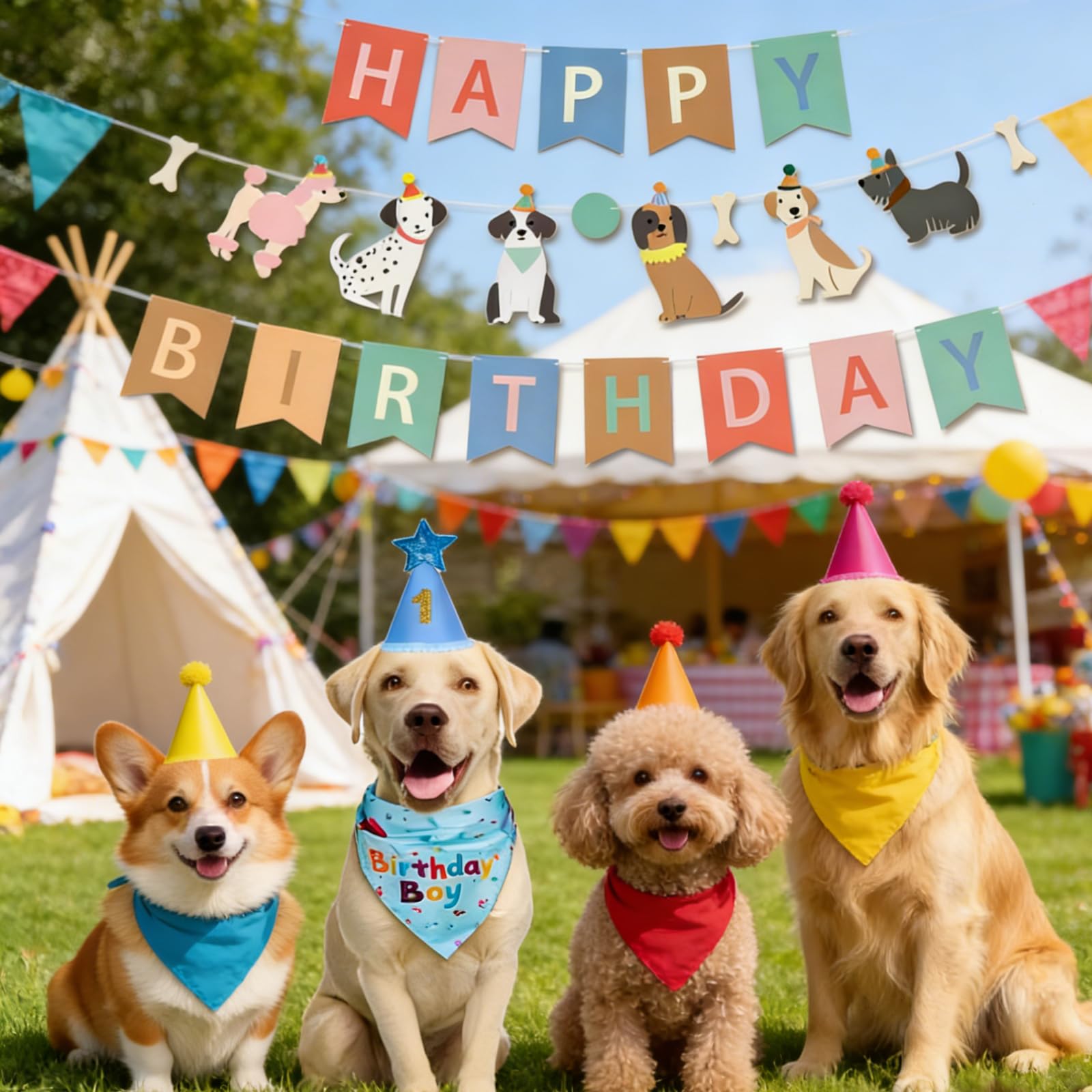 MAGITWAY chien porte le kit en situation, rendu festif et photogénique