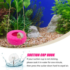 MAGNEECH balançoire en usage dans terrarium, enrichissement actif