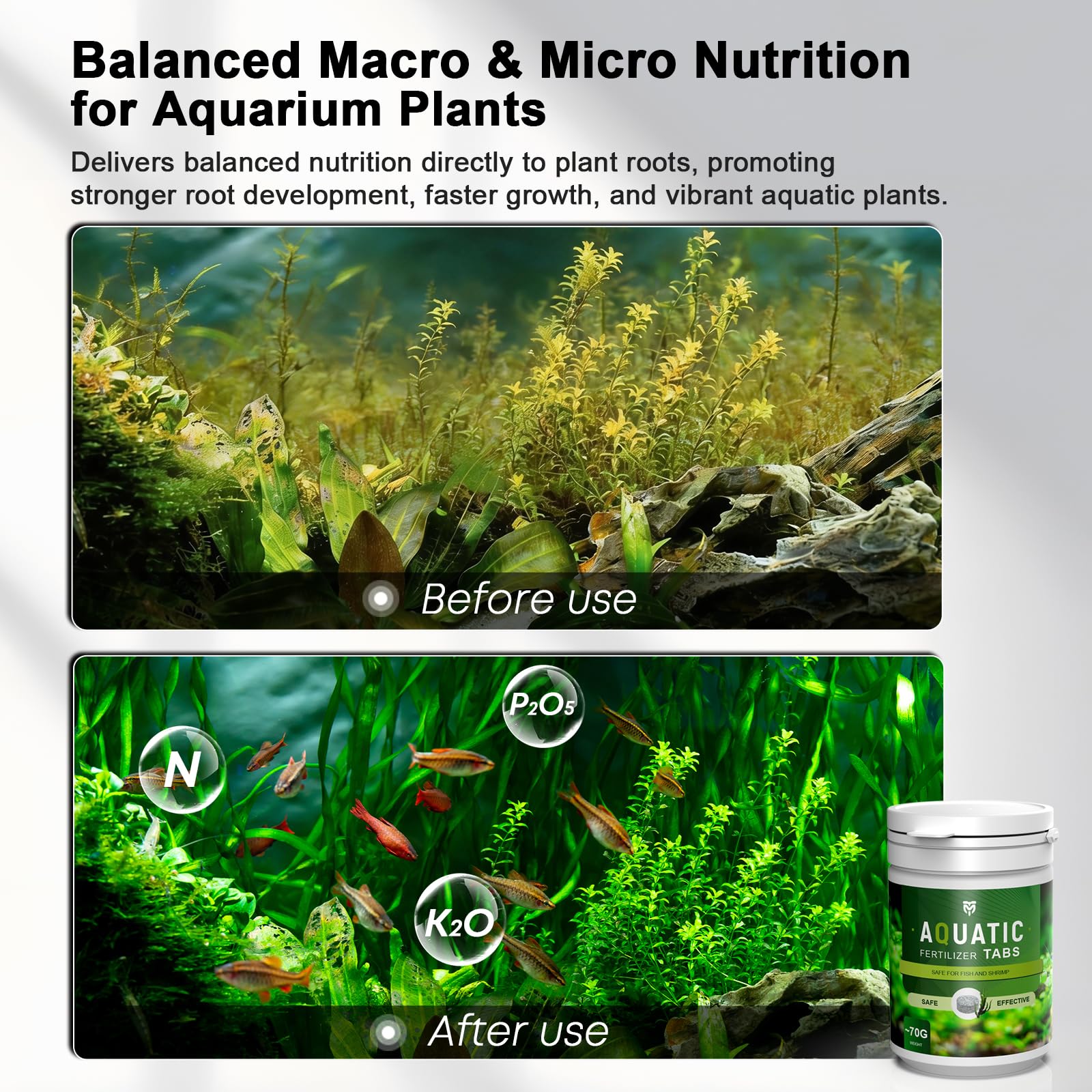 MagTool pastille dans substrat près d’une plante bénéfice nutrition racinaire ciblée