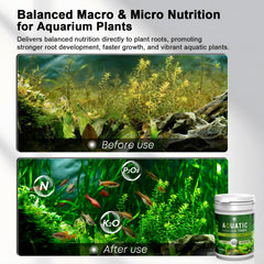 MagTool pastille dans substrat près d’une plante bénéfice nutrition racinaire ciblée