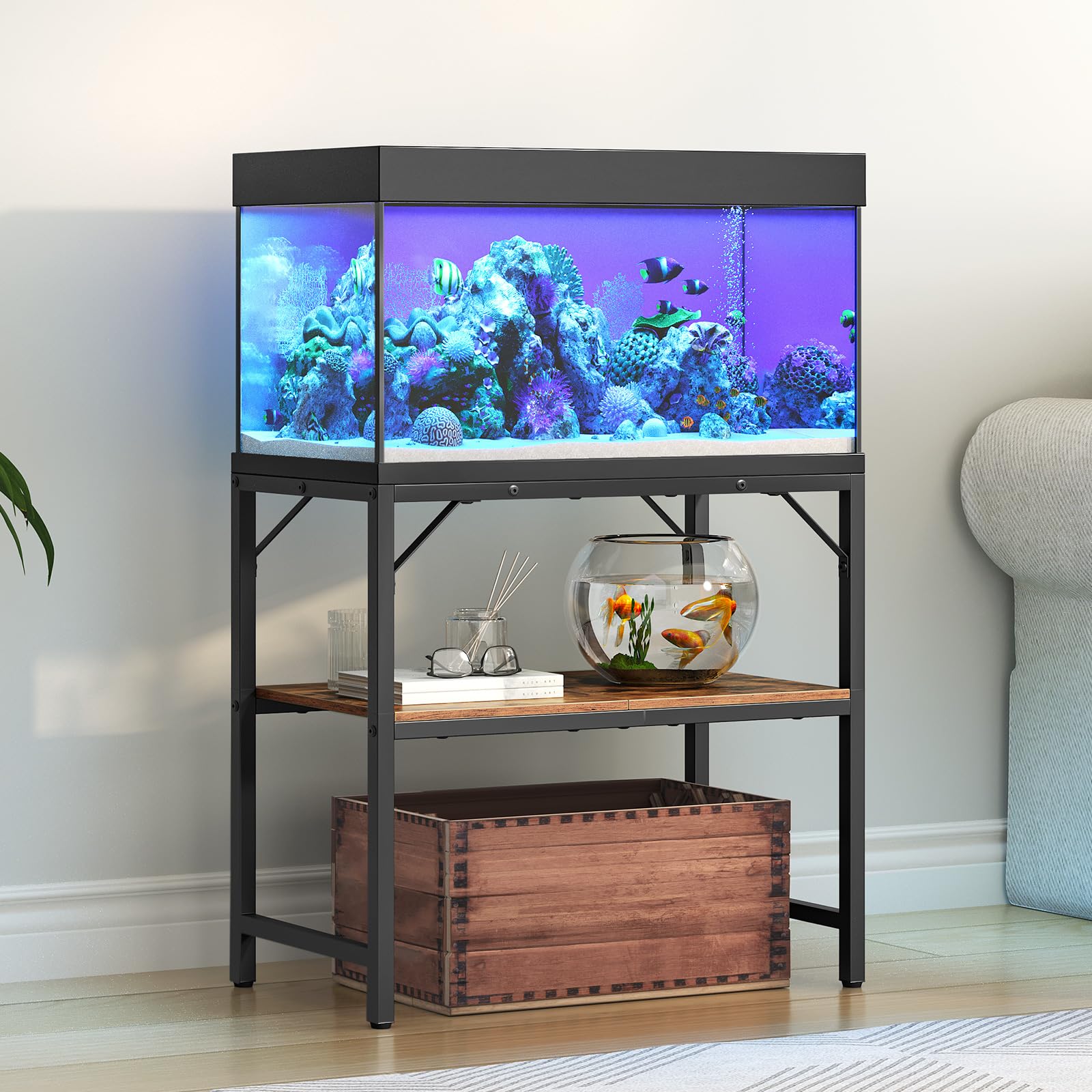 MAHANCRIS comparaison d'échelle avec aquarium 30 gallons pour référence dimensionnelle
