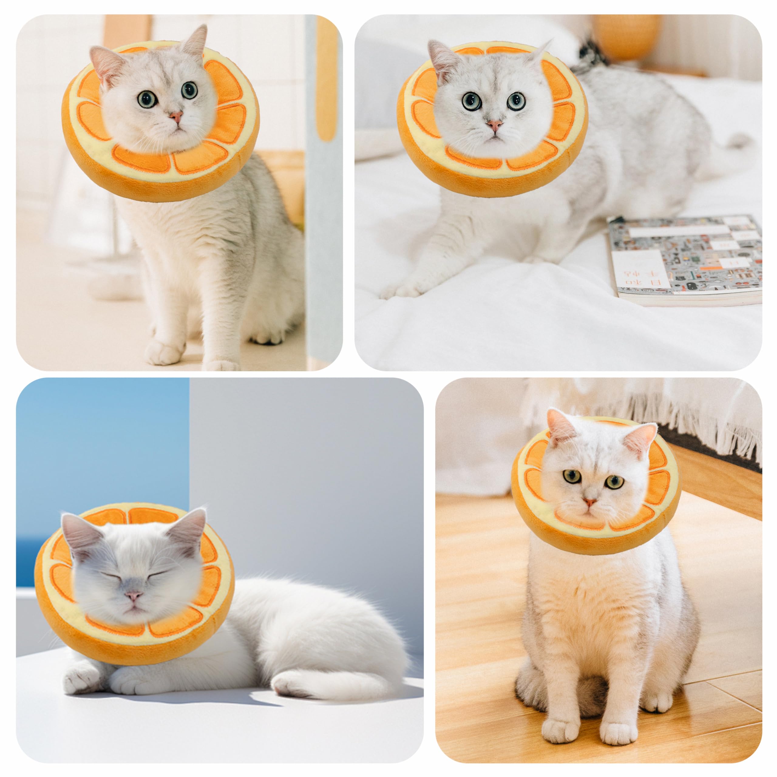 Maiiu emballage et couleurs variées présentant un look soigné