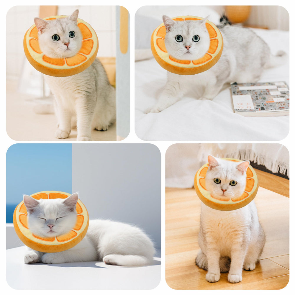 Maiiu emballage et couleurs variées présentant un look soigné