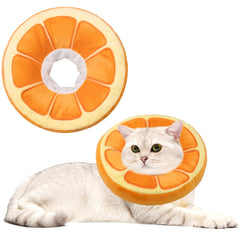 Maiiu collerette vue de face montrant la coupe confortable et protectrice
