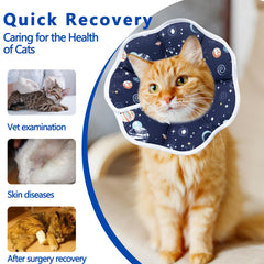 Maiiu collier porté par chat permettant mouvements et alimentation faciles