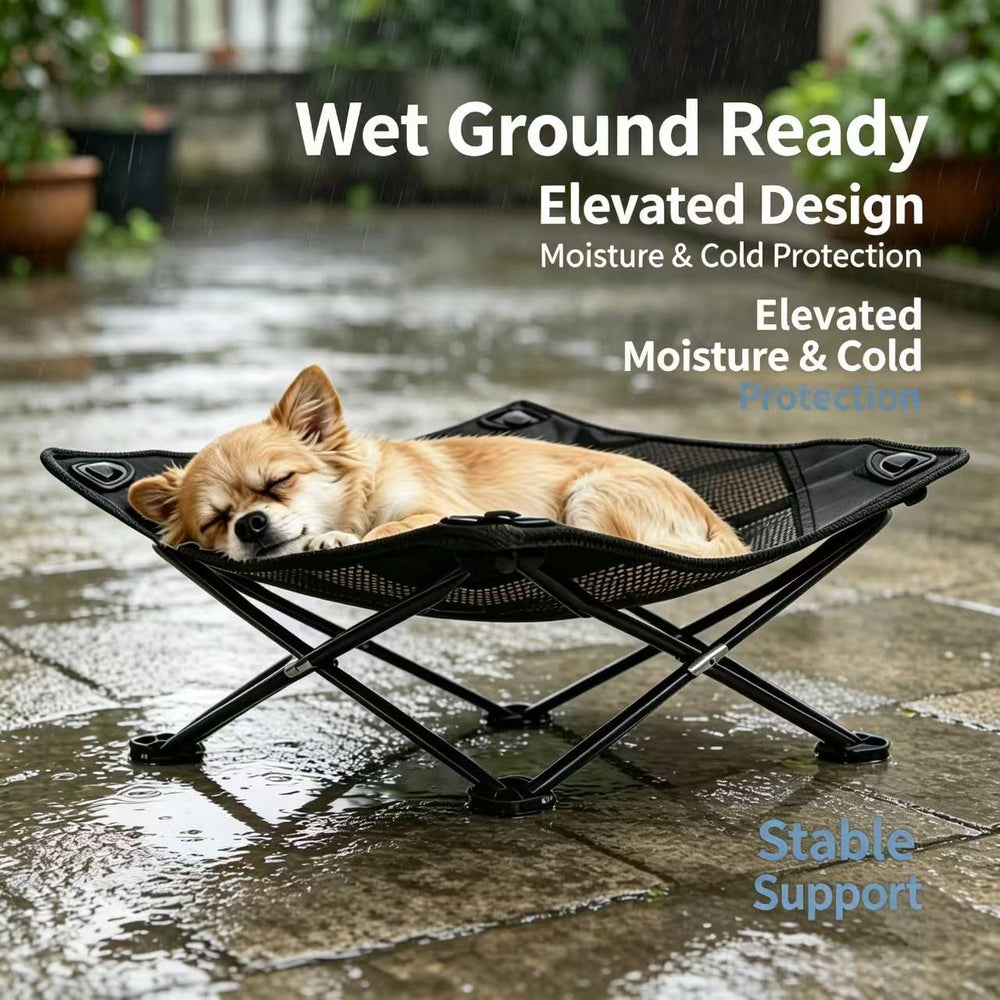 MAILAUNI chat se relaxant sur le lit dans le jardin, confort portable