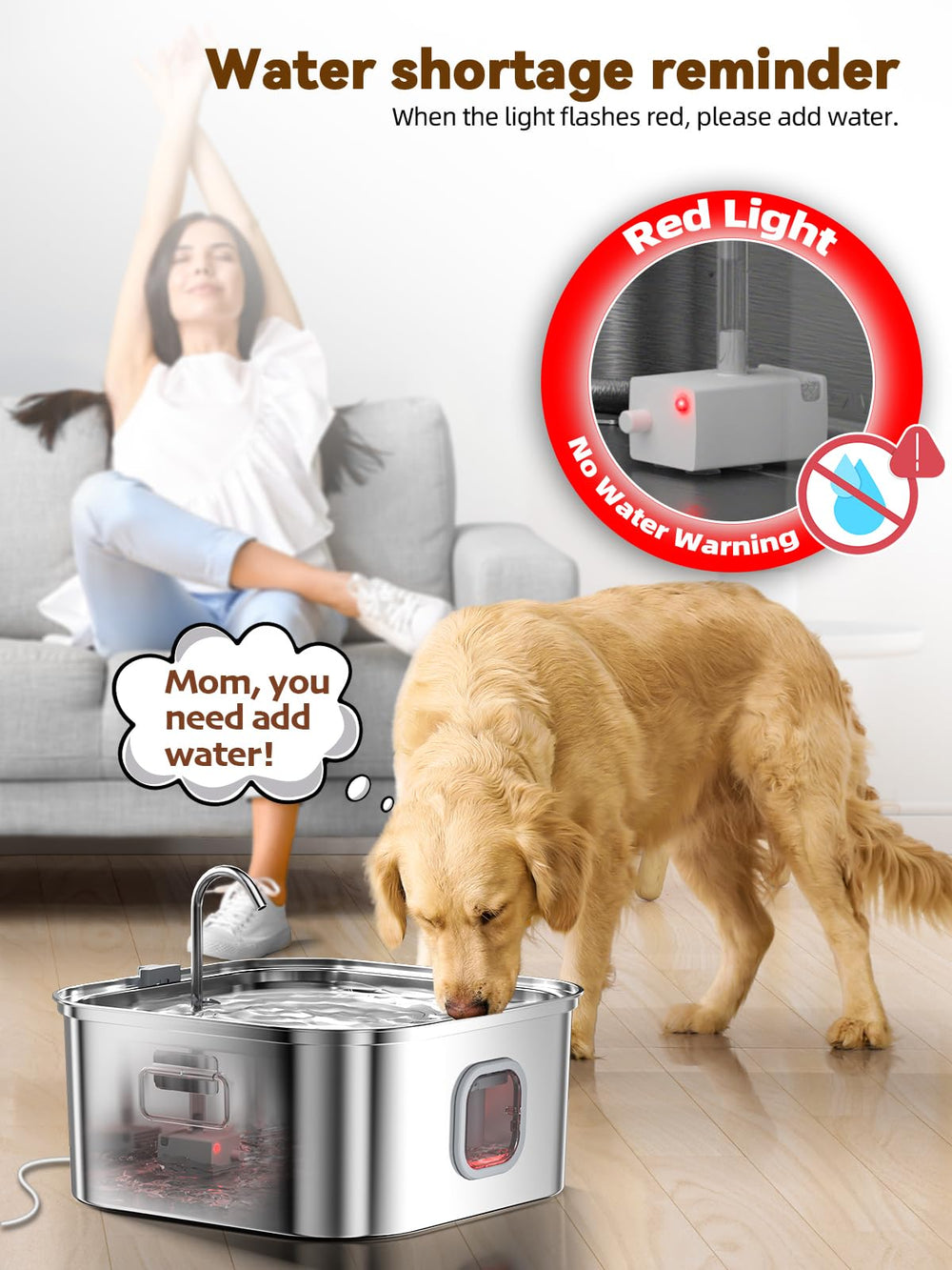 MAILOFY fontaine en usage avec grand chien, stabilité et accès confortable à l'eau
