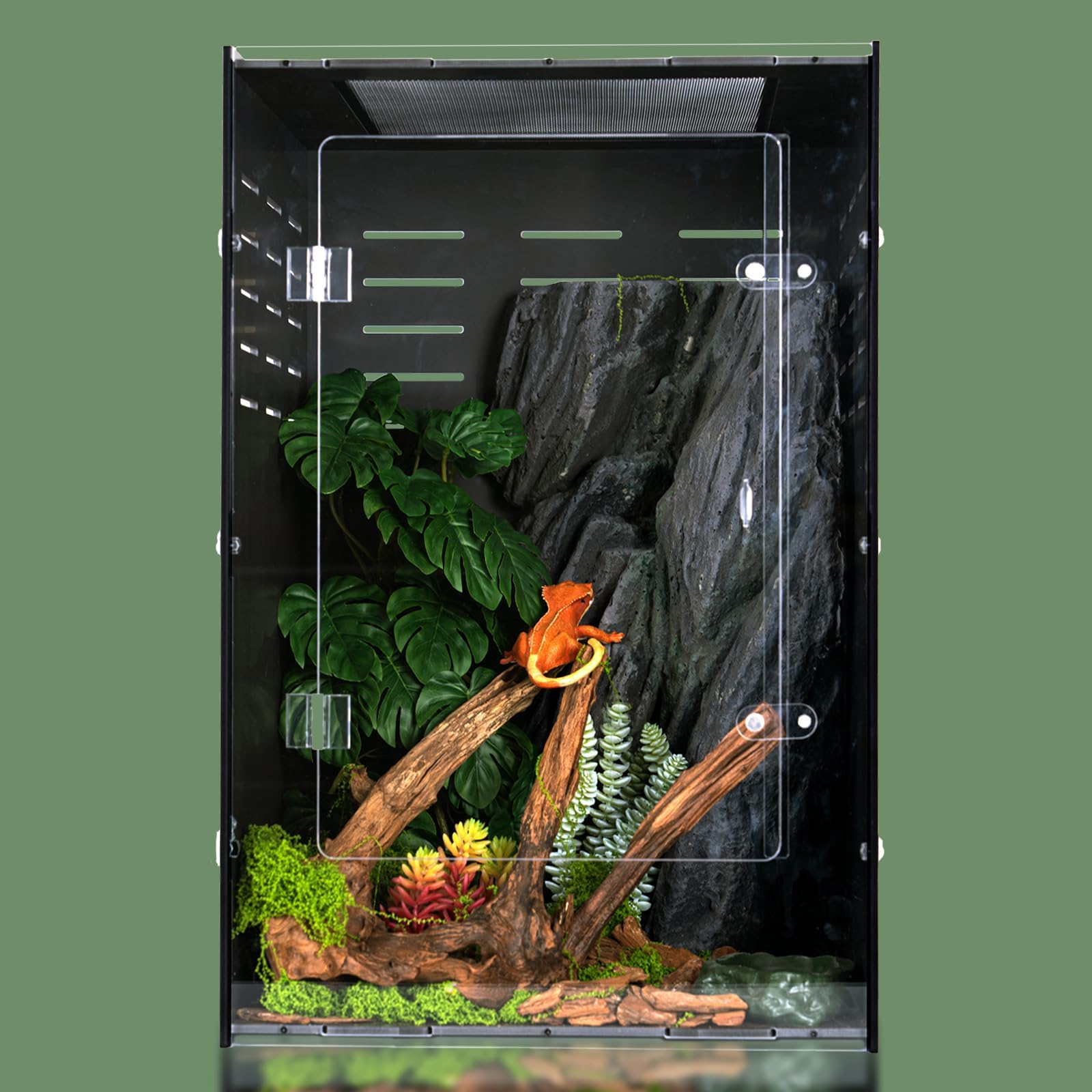 maiyuolg terrarium face avant montrant l'ouverture simple et la sécurité