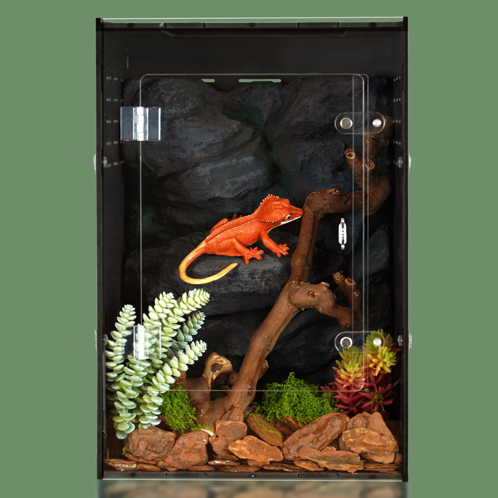 maiyuolg terrarium vue de face montrant accès facile et sécurité