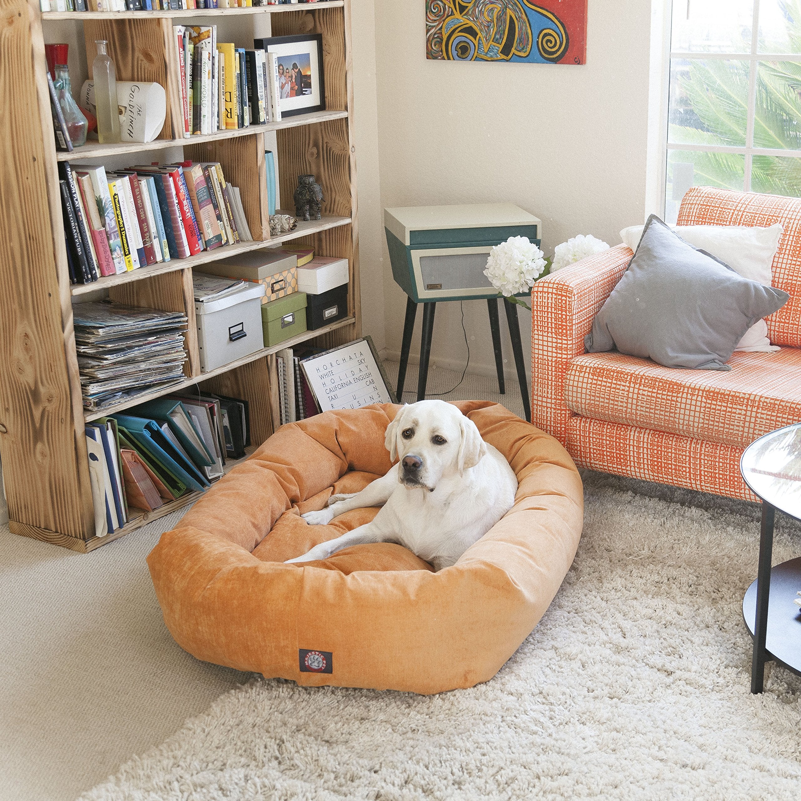 Majestic Pet comparaison taille montrant espace adapté grandes races