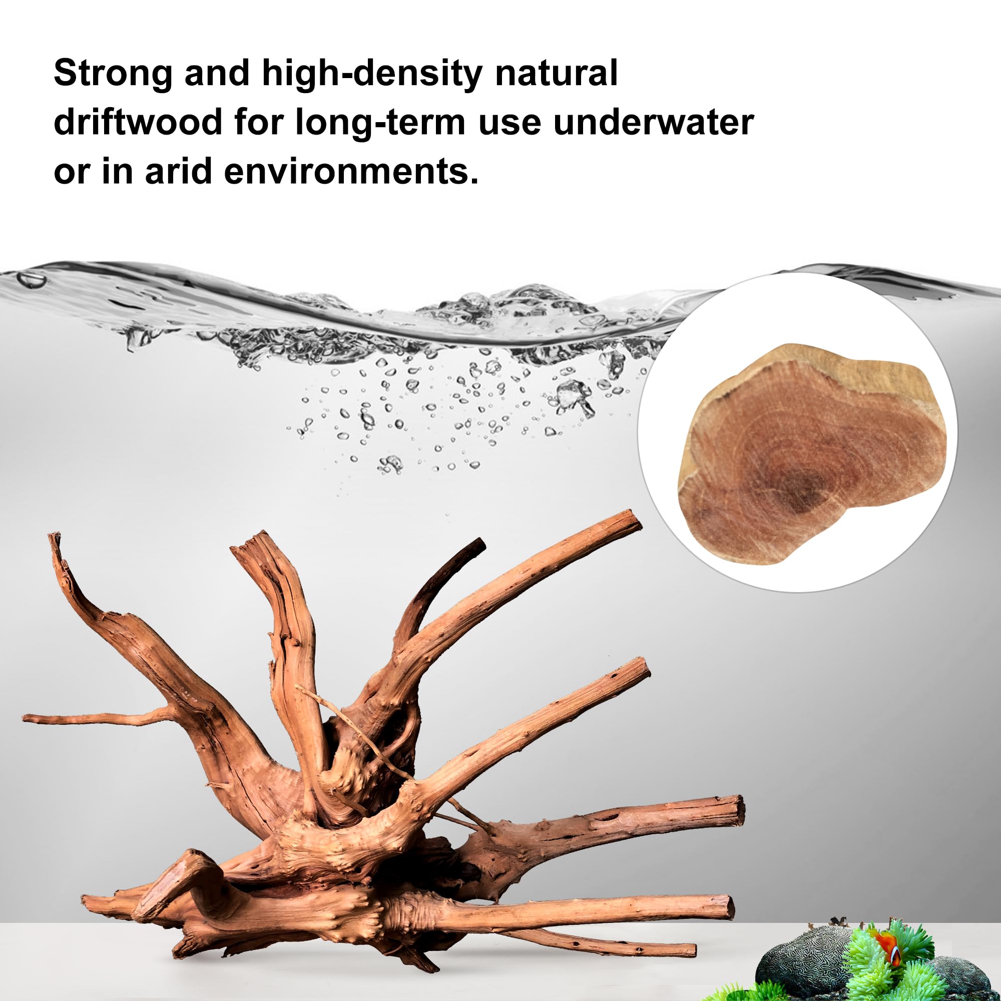 majoywoo bois immergé en aquarium créant caches et contrastes naturels