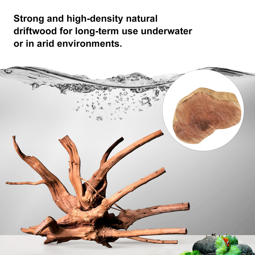 majoywoo bois immergé en aquarium créant caches et contrastes naturels