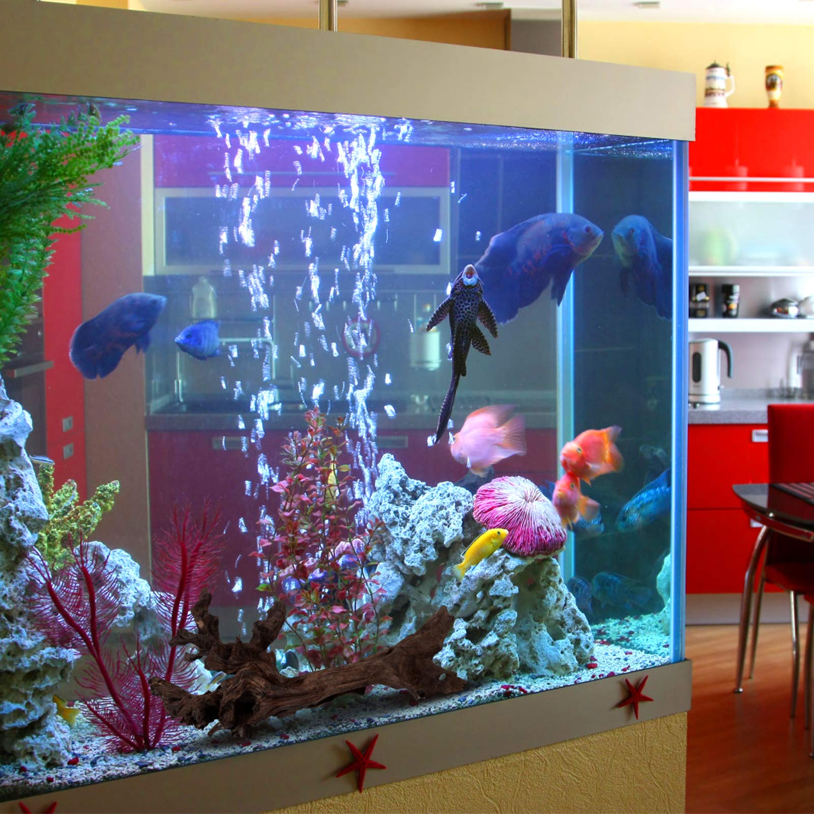 majoywoo bois flotté dans terrarium offrant surface d'escalade aux reptiles