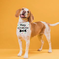 MAKIPTTE bandana porté par un chien lors d'une séance photo d'adoption joyeuse