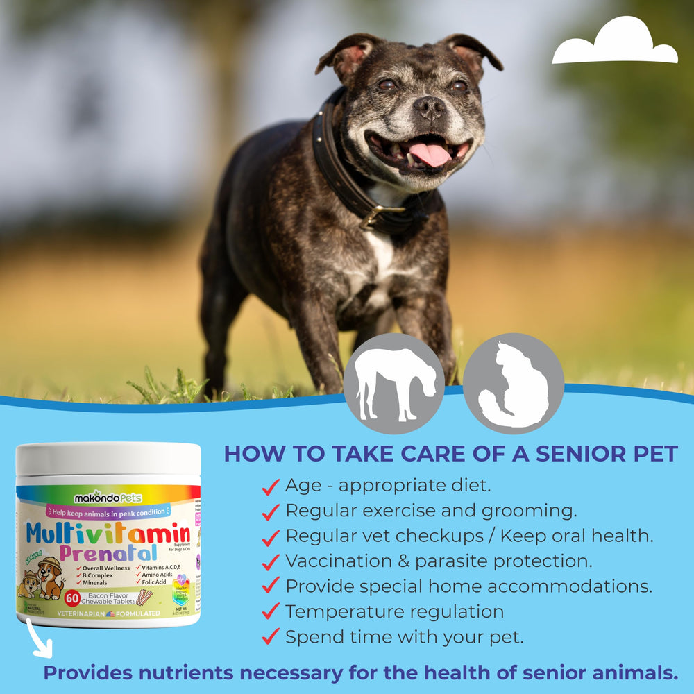 Makondo Pets mère chienne avec chiots suggérant soutien nutritionnel