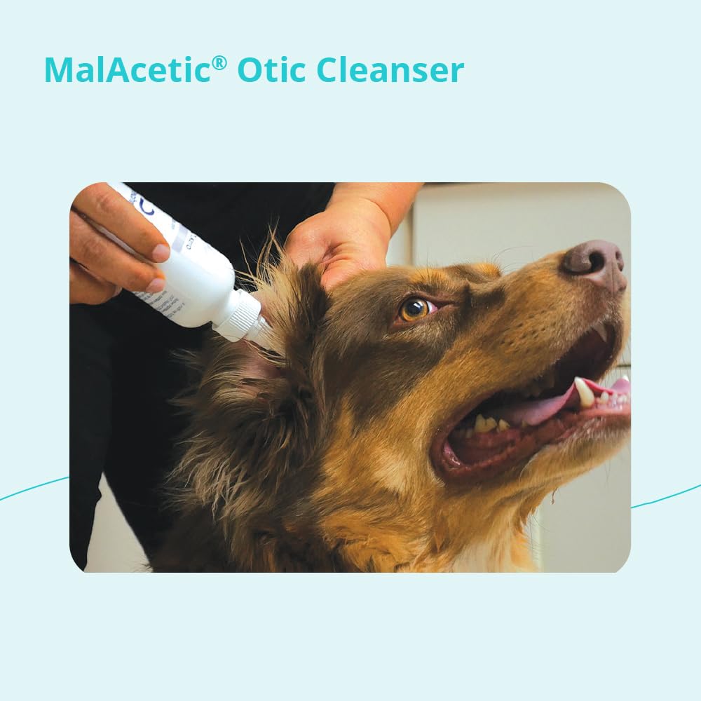 MalAcetic étiquette ingrédients lisible montrant formulation sûre et contrôlée