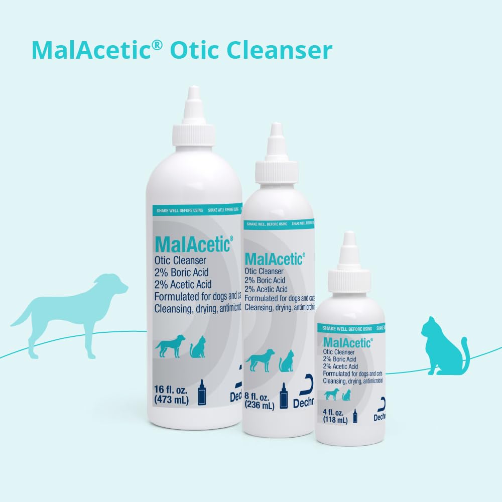 MalAcetic une goutte sur gaze montrant absorption et élimination des débris