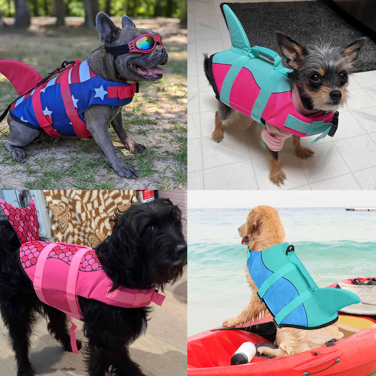 Malier comparaison taille montrant ajustement pour petit à moyen chien
