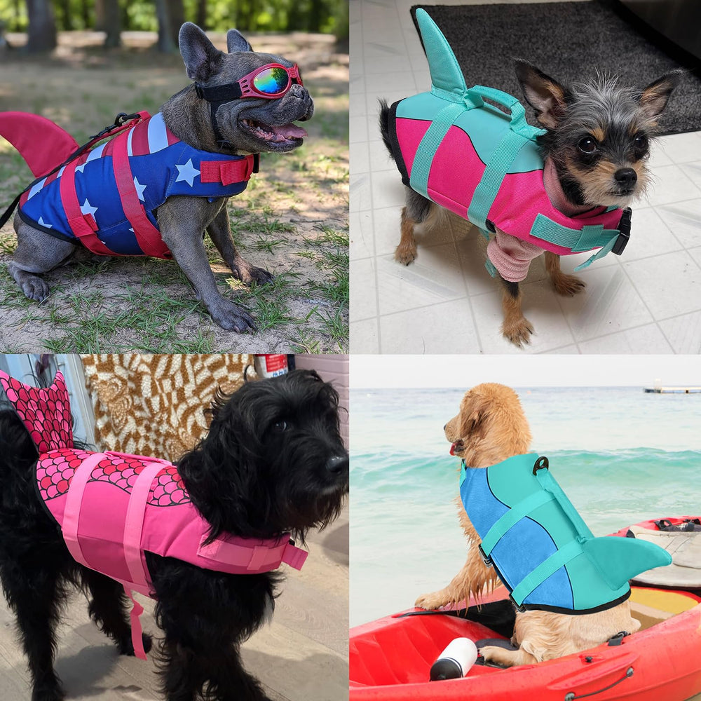 Malier comparaison taille montrant ajustement pour petit à moyen chien