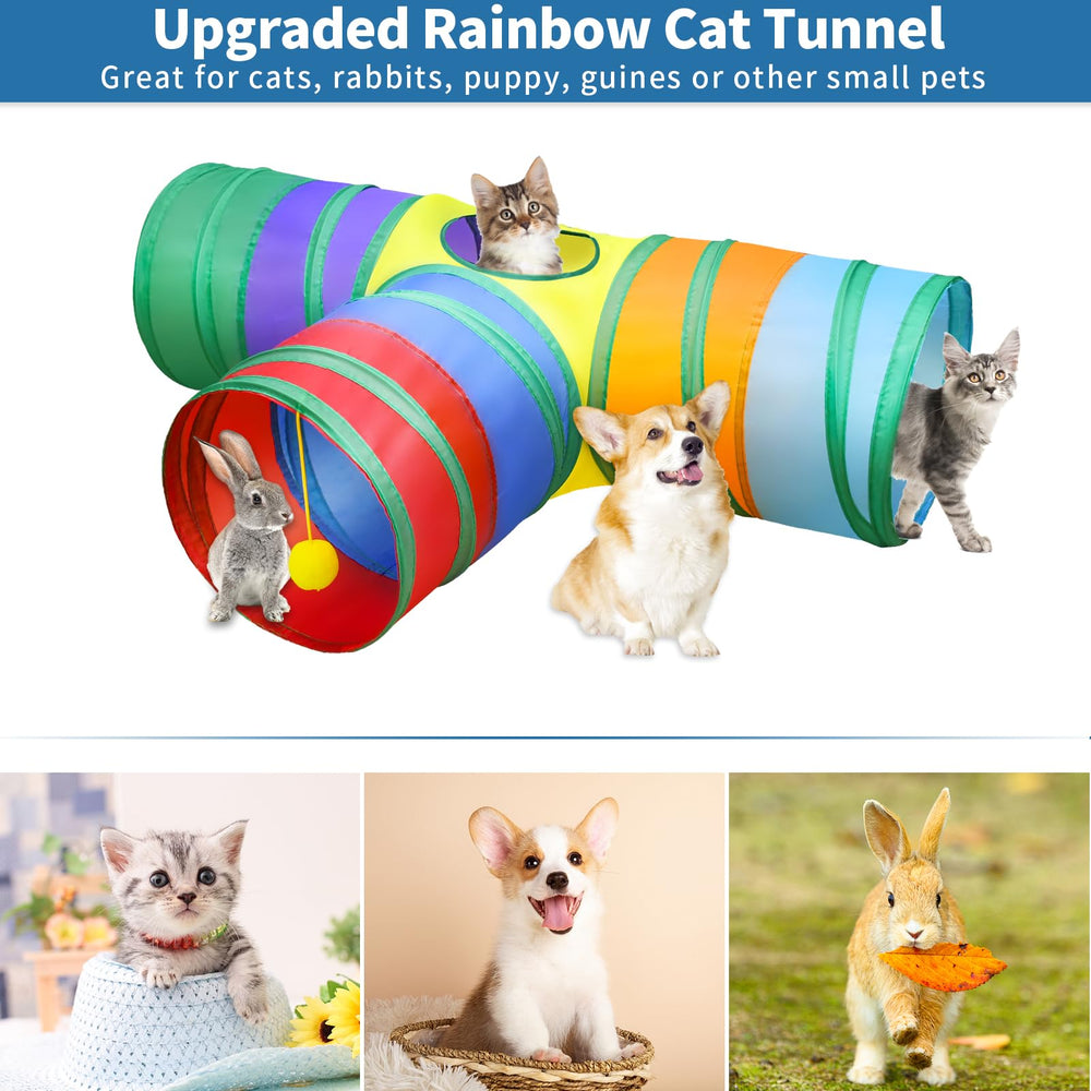 Malier tunnels trois voies en usage avec chaton en train de jouer