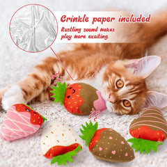 MALLMALL6 intérieur avec papier craquant stimulant l'intérêt du chat