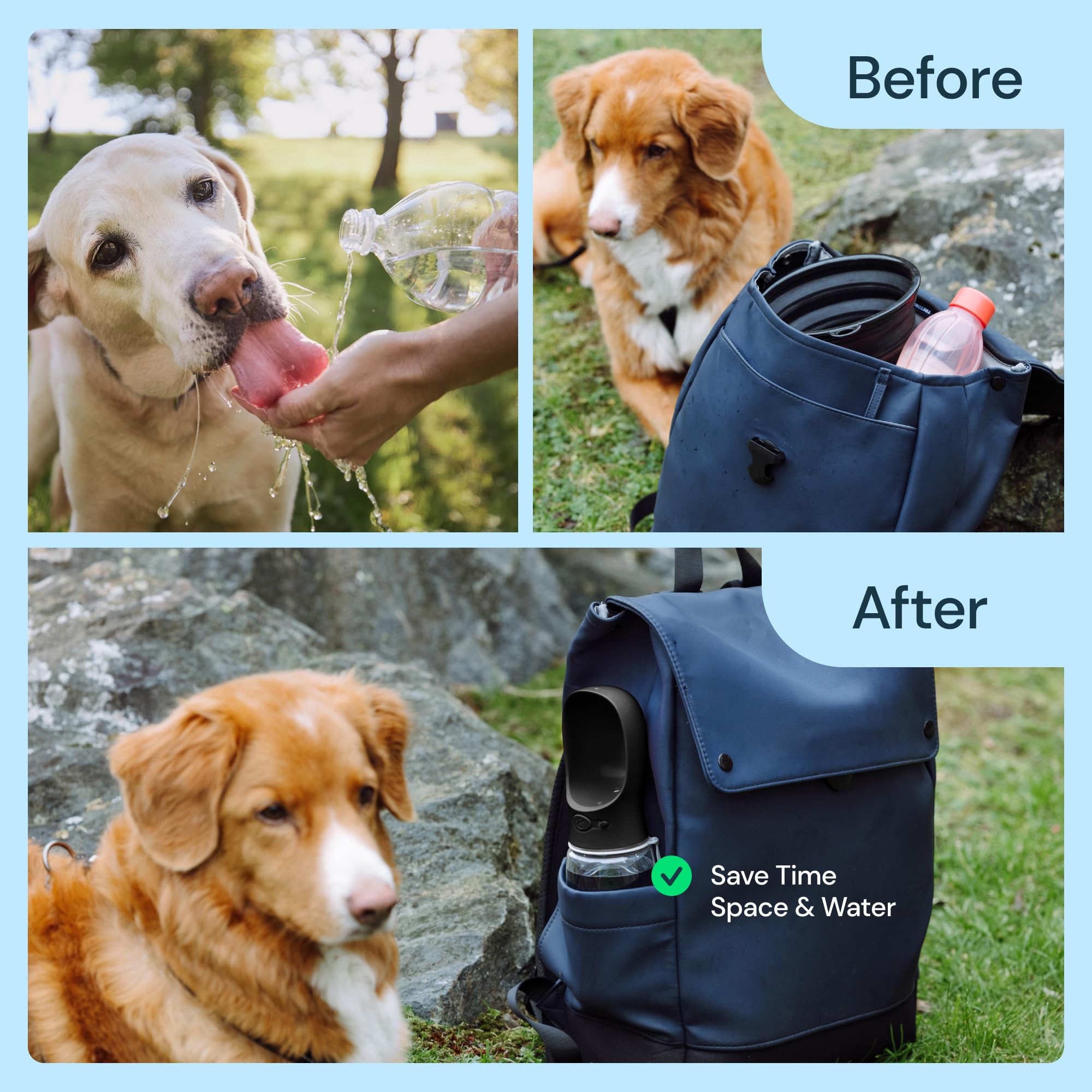 MalsiPree matériaux sans BPA garantissant une eau saine pour mon chien