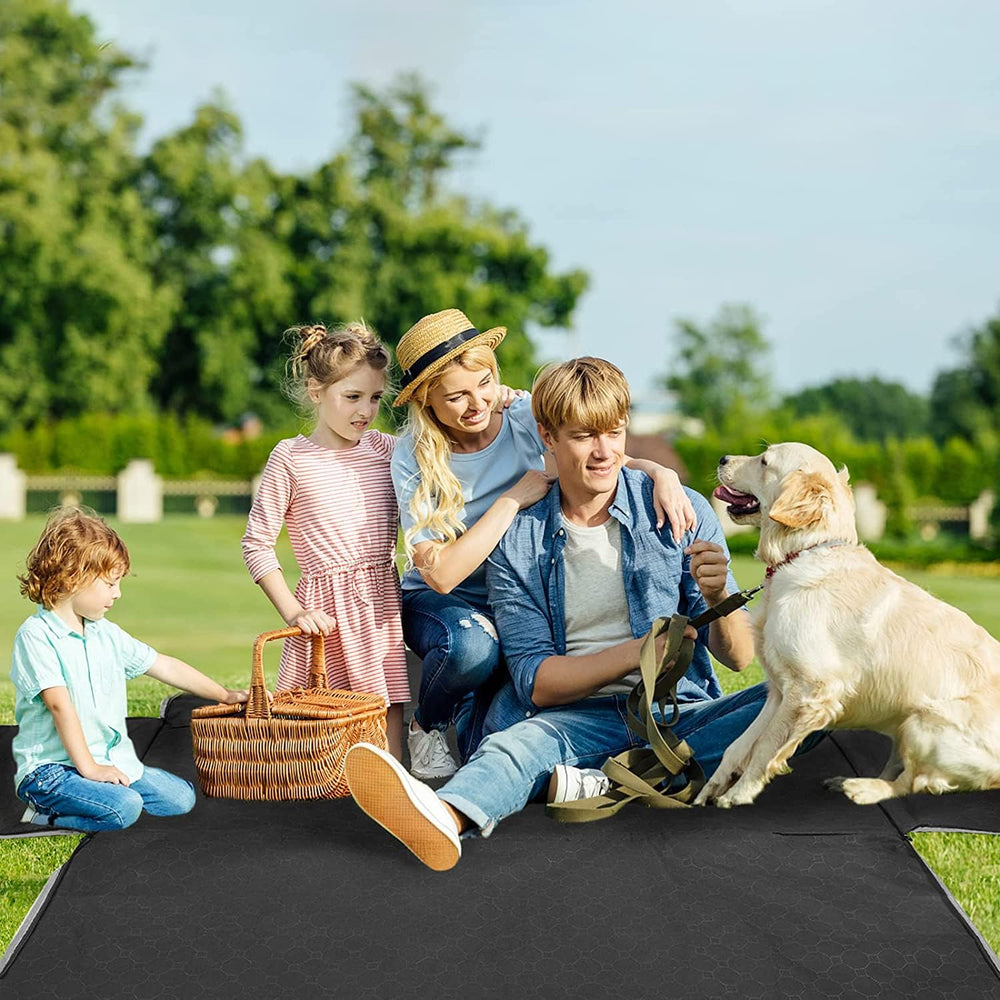 Mancro chien assis sur la housse, confort et protection démontrés