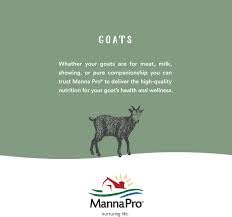 Manna Pro application sur sabot montrant distribution uniforme et finition brillante