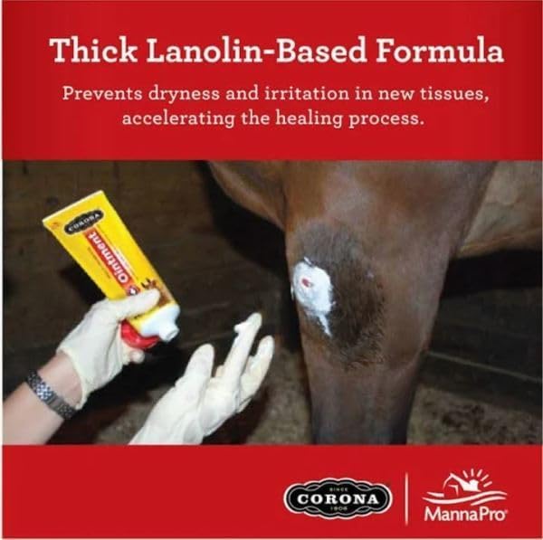 Manna Pro Corona Ointment en cours d’application sur une patte de cheval pour apaiser