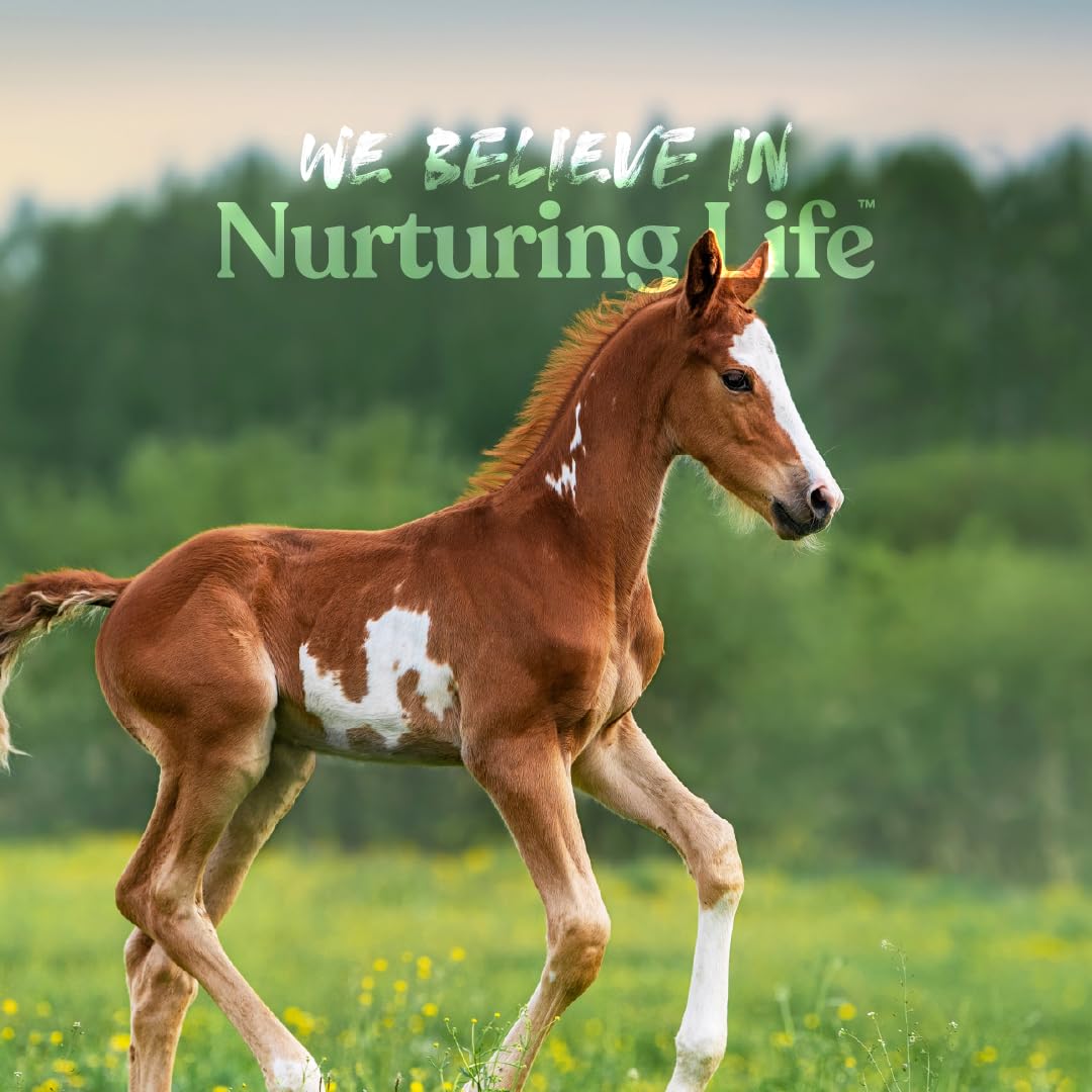 Manna Pro scène de ferme avec plusieurs jeunes espèces nourries, polyvalence multi-espèces