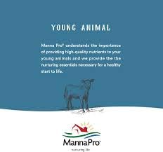 Manna Pro texture du produit en gros plan, révèle consistance brossable et non collante