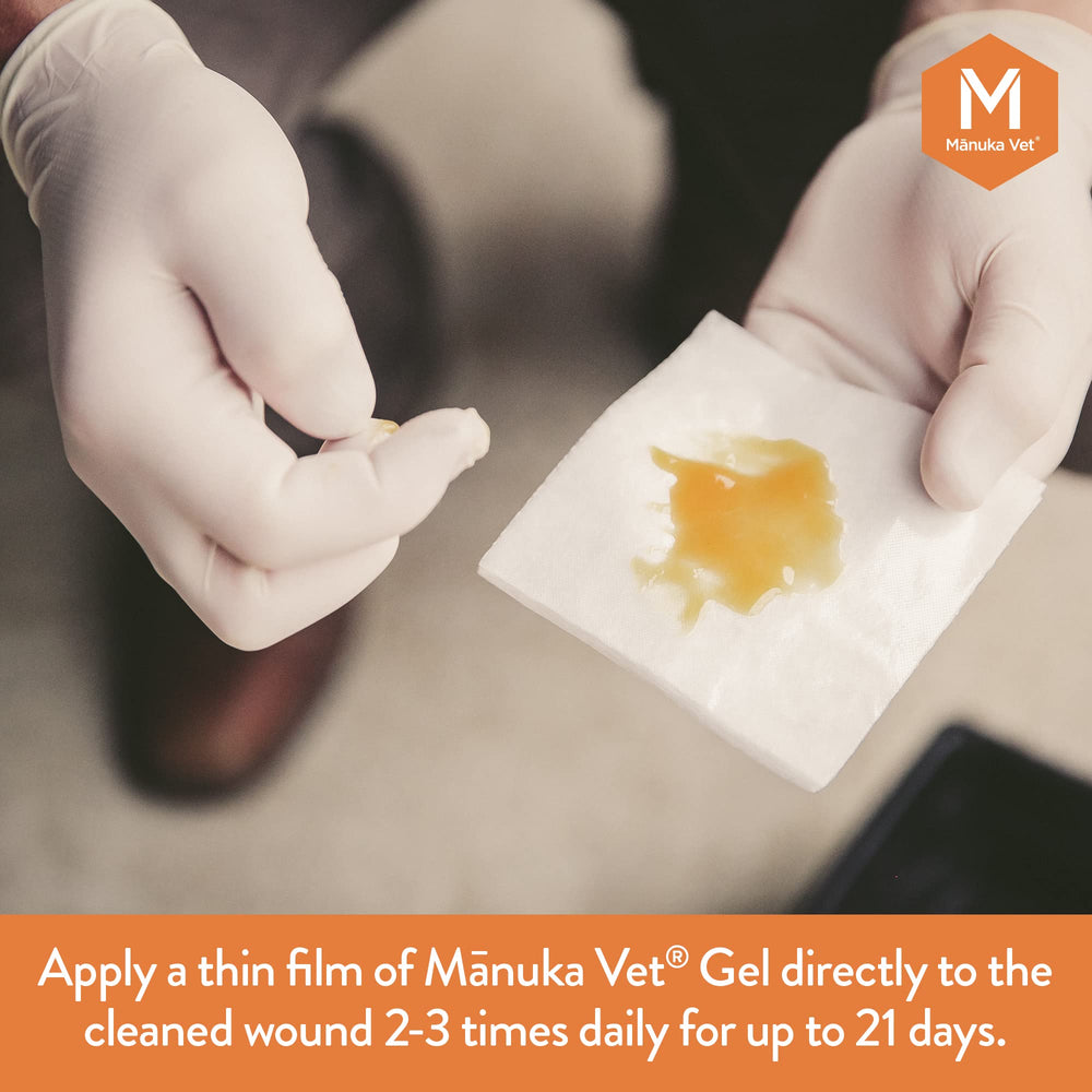 Étiquette M Manuka Vet affichant MGO 500+, gage de qualité identifiée