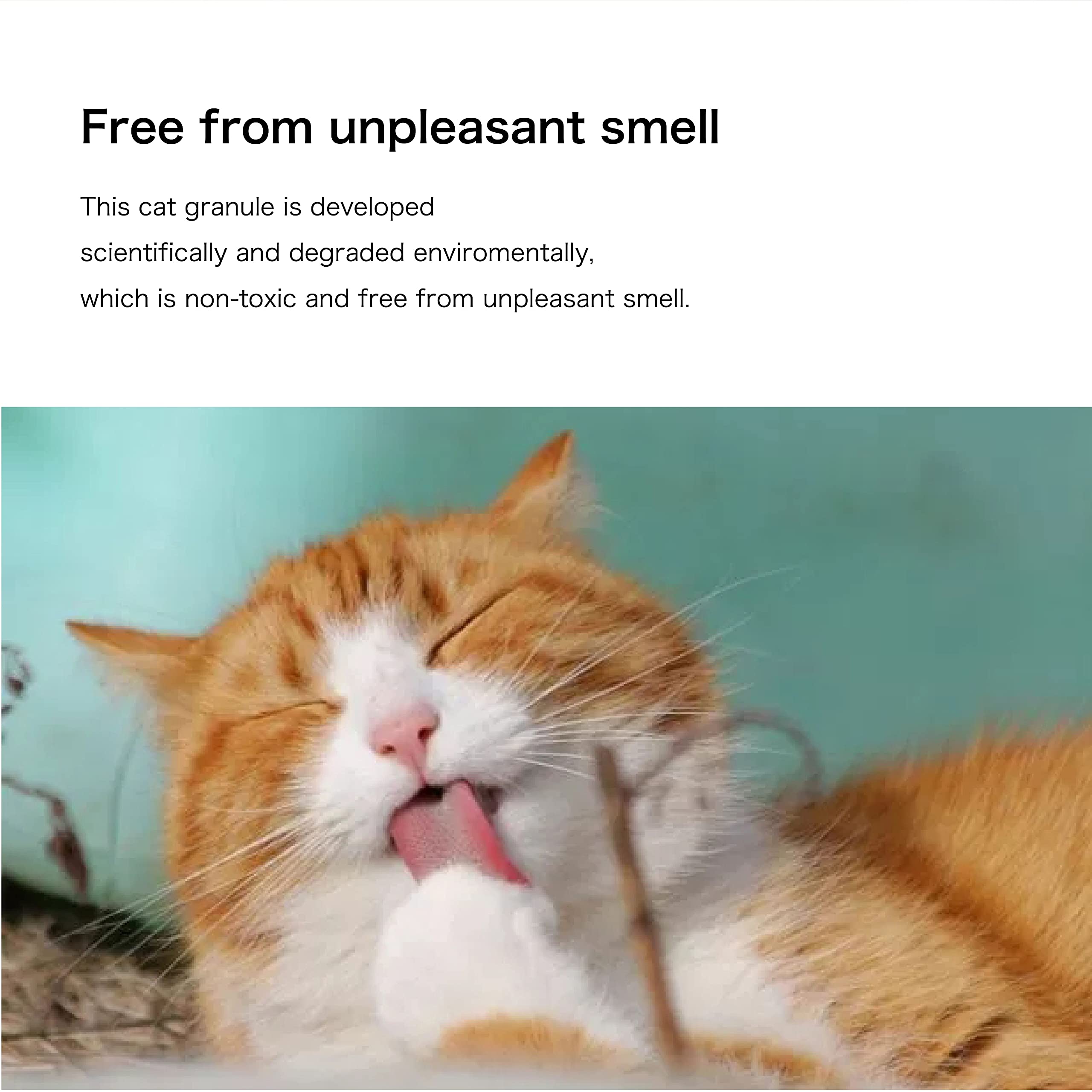 Scène de vie avec chat près d'une litière MAOMIDA montrant l'usage domestique sûr