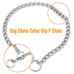 MAOWUWUJOZ collier porté sur chien lors d'une séance de dressage sûre