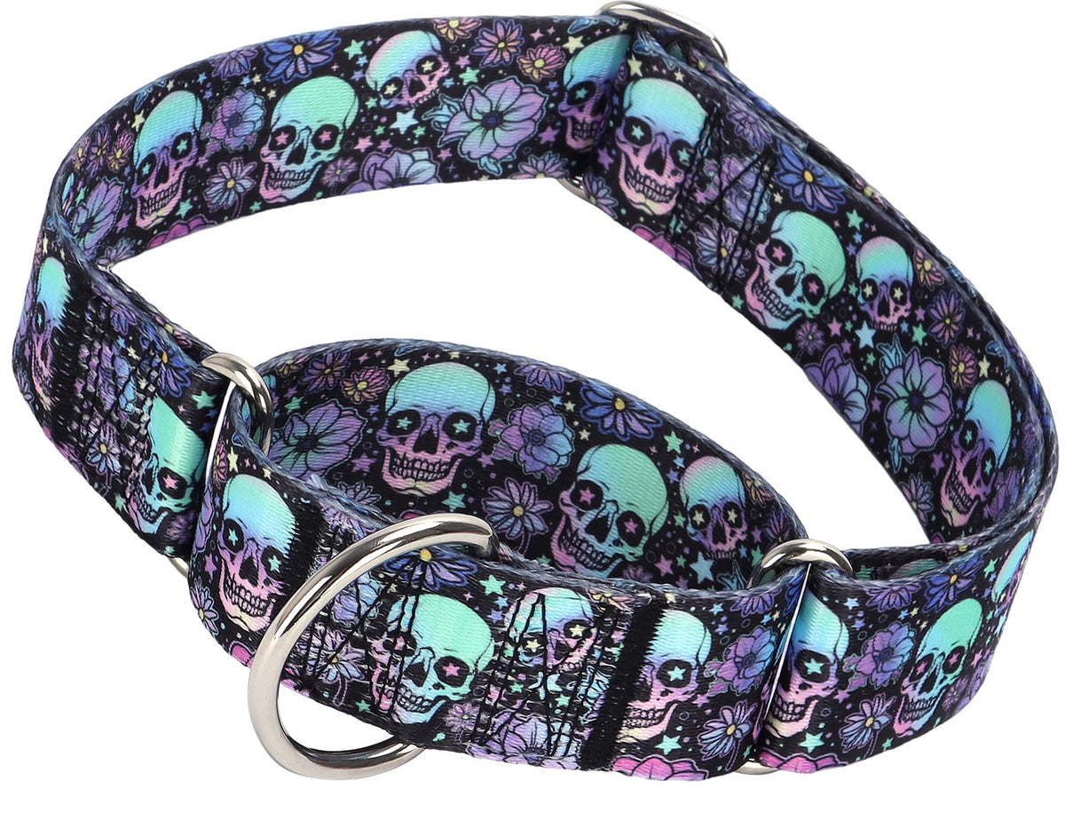 MAOWUWUJOZ vue face avant du collier montrant robustesse et design
