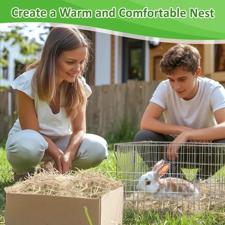 MAQIHAN paille en décomposition enrichissant le compost