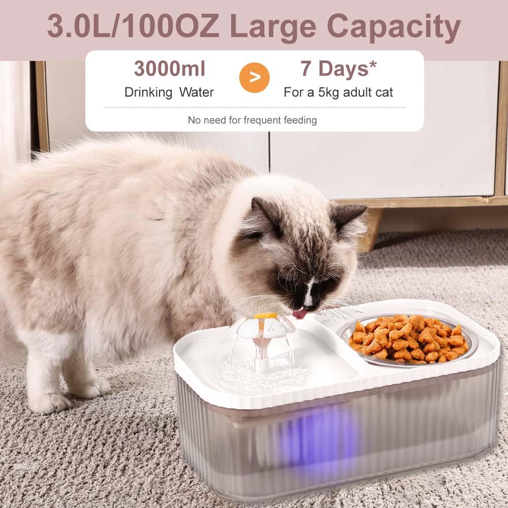 Marchul réservoir transparent montrant le niveau d'eau pour contrôle visuel pratique