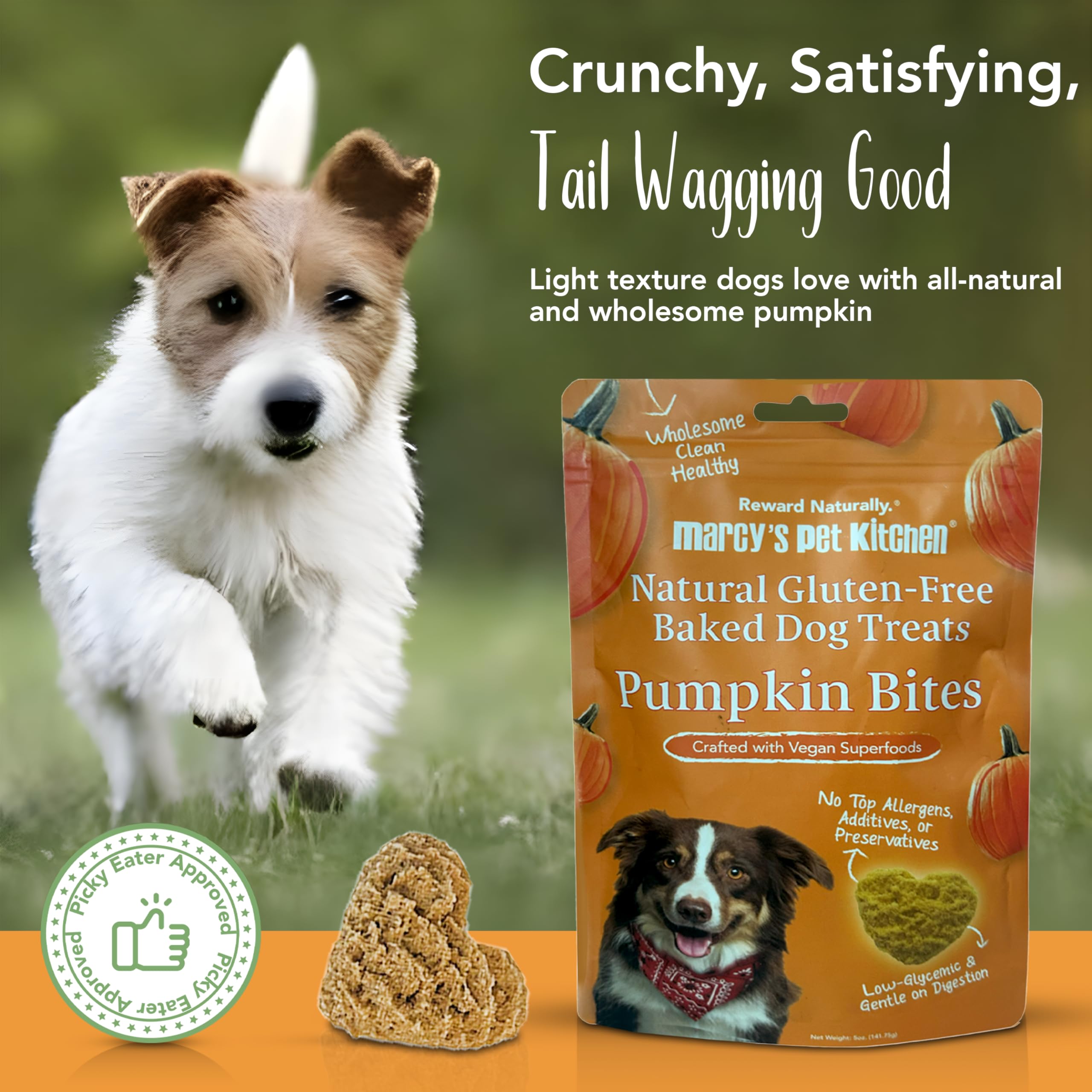 Marcy's Pet Kitchen biscuits dans une main pour évaluer taille