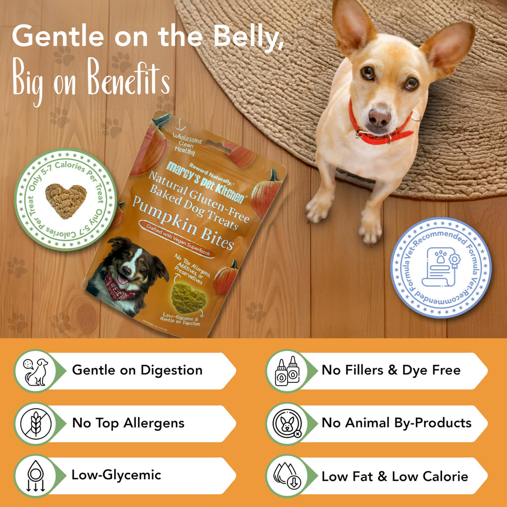 Marcy's Pet Kitchen biscuits en forme de cœur attractifs pour chien