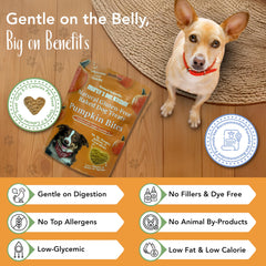 Marcy's Pet Kitchen biscuits en forme de cœur attractifs pour chien
