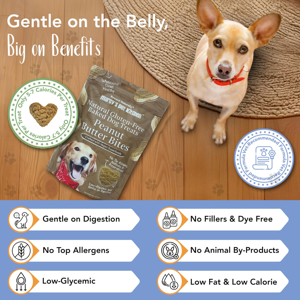 Marcy's Pet Kitchen gros plan sur texture croquante pour meilleure mastication
