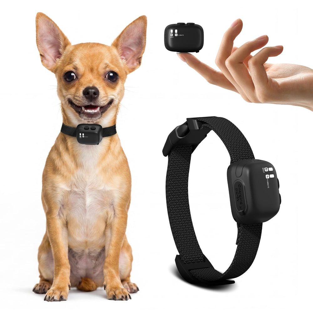 MariMoki collier vue face montrant design compact et confort