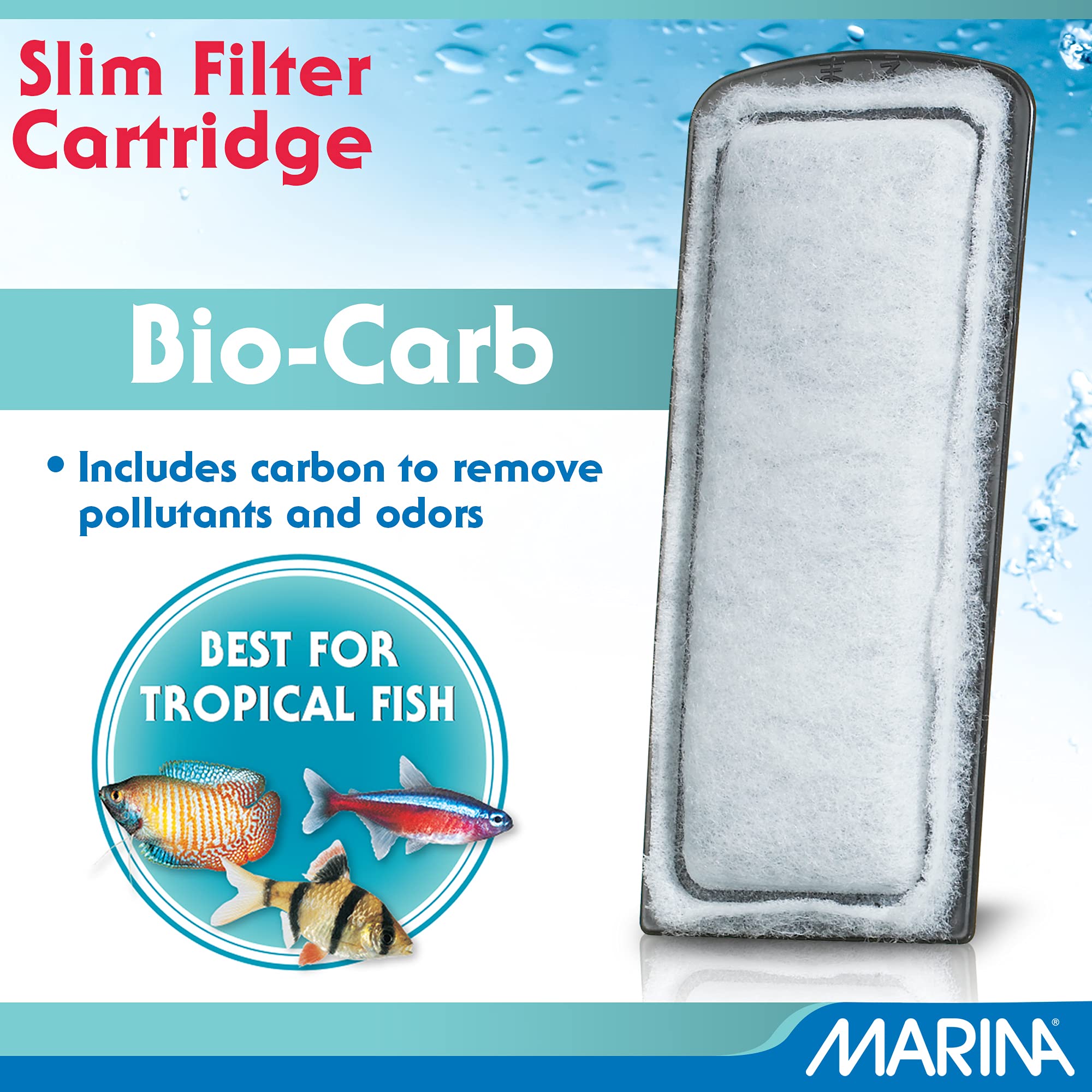 Marina gros plan Ceramitek montrant texture poreuse pour bactéries
