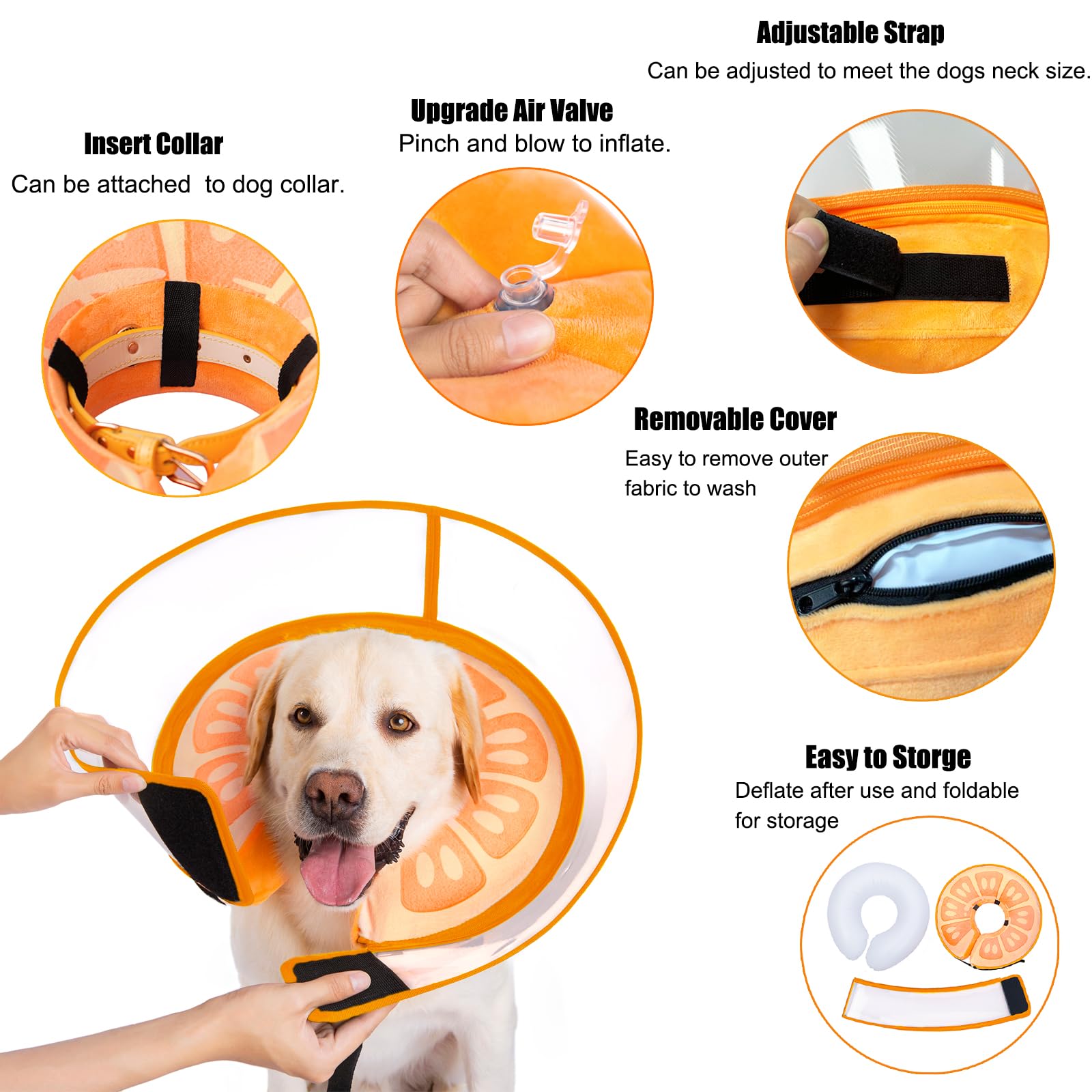 Mariyago collier en usage sur chien couché facilite repos et alimentation