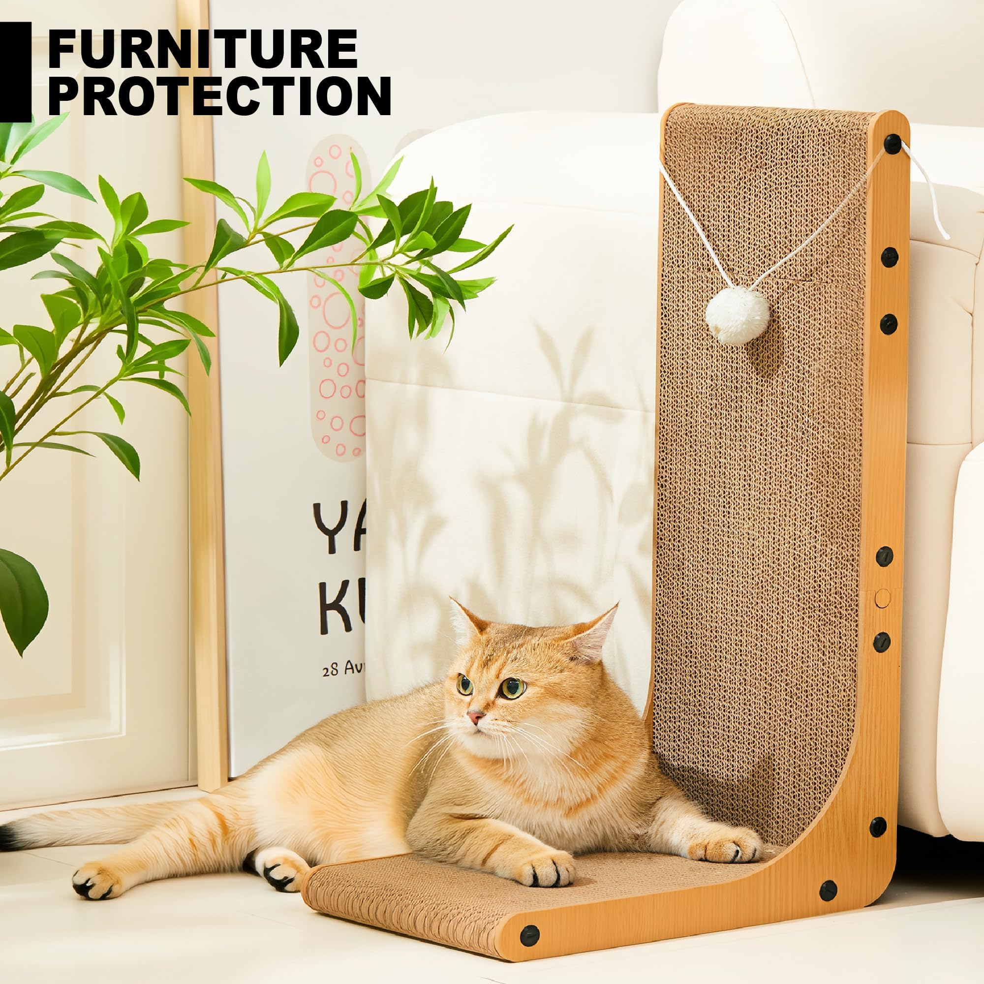 Markarbarka en position horizontale avec chat allongé profitant du repos